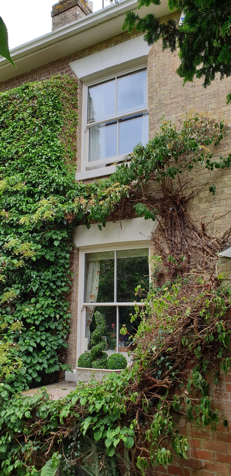 Ultimate Rose Sash Windows, installation 6